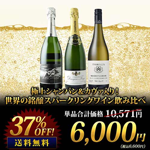 極上シャンパン＆カヴァ入り！世界の銘醸スパークリングワイン飲み比べ 送料無料 シャンパン・スパークリングワインセット「3/25更新」