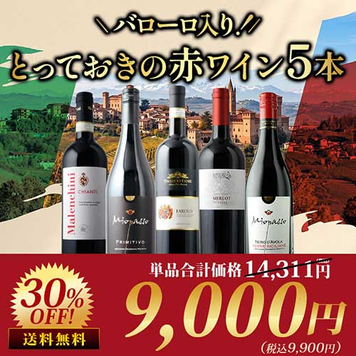 バローロ入り！とっておきのイタリア赤5本セット 赤ワインセット 送料無料「9/8更新」