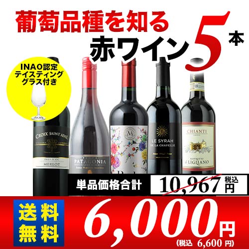 葡萄品種を知る赤ワイン5本セット 送料無料 赤ワインセット「4/26内容変更」