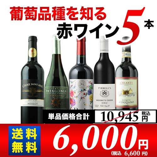 葡萄品種を知る赤ワイン5本セット 送料無料 赤ワインセット 「12/14更新」