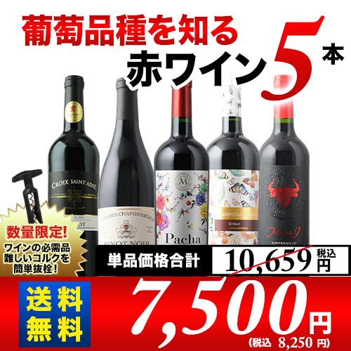 葡萄品種を知る赤ワイン5本セット 送料無料 赤ワインセット 「5/20更新」