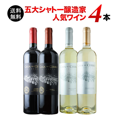 五大シャトー醸造家ワイン4本セット（赤2本＆白2本）送料無料 ワインセット