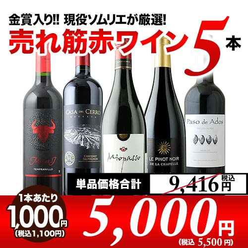 金賞入り 現役ソムリエの売れ筋赤ワイン5本セット 第31弾 赤ワインセット「11/1更新」