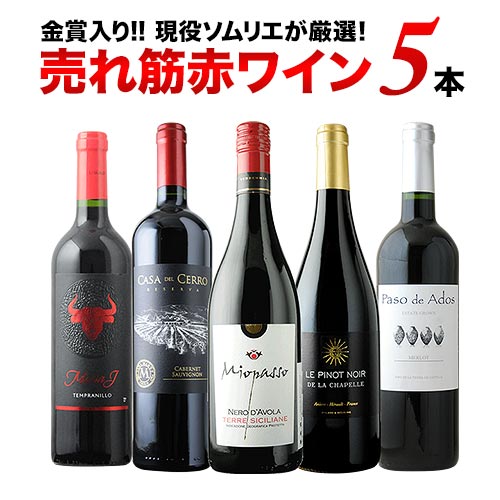 金賞入り 現役ソムリエの売れ筋赤ワイン5本セット 第31弾 赤ワインセット「11/1更新」