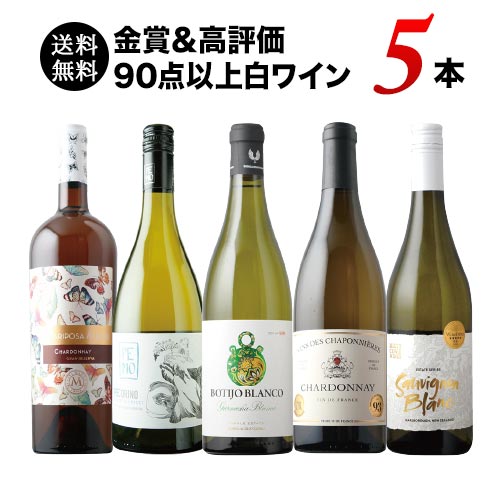 金賞＆高評価90点以上の白ワイン5本セット 送料無料 白ワインセット「2 
