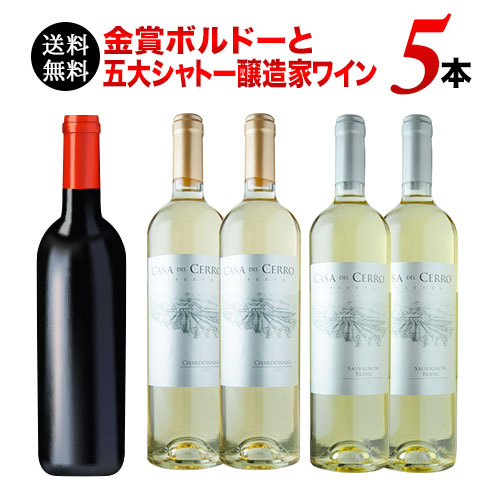 金賞ボルドーと五大シャトー醸造家ワイン5本セット（赤1本＆白4本 