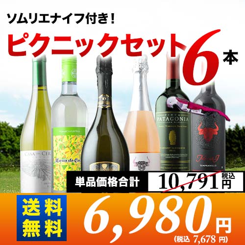 ソムリエナイフ付きで外でも安心 ピクニックセット6本入り第25弾 送料無料 （6人用） 泡1本＆ロゼ1本＆白2本＆赤2本 ワインセット「9/9更新」  | ワイン通販ならワインショップソムリエ