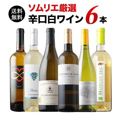辛口白ワイン6本セット 第90弾 送料無料 白ワインセット「4/14更新」