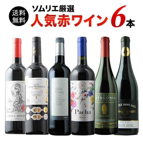 ソムリエ人気赤ワイン6本セット 第53弾 送料無料 赤ワインセット「6/15