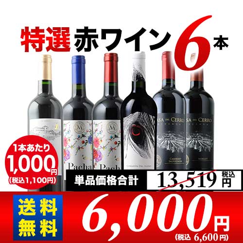 金賞ボルドー＆カリスマ醸造家　特選赤ワイン6本セット　送料無料 赤ワインセット
