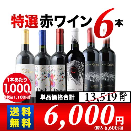 金賞ボルドー＆カリスマ醸造家　特選赤ワイン6本セット　送料無料 赤ワインセット「5/26更新」