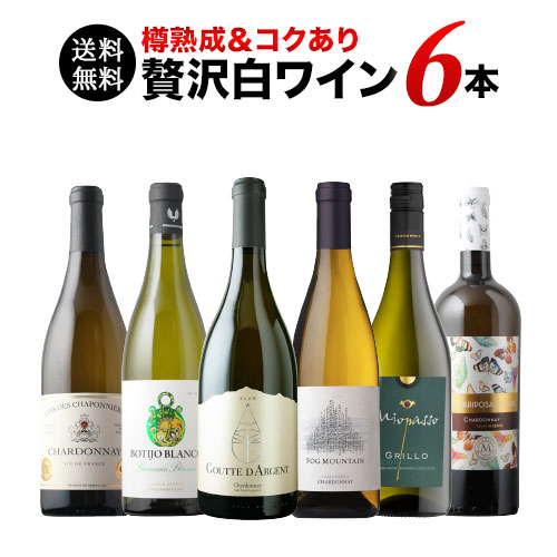 樽熟成&コクあり白ワイン6本セット 送料無料 白ワインセット「9/3更新」