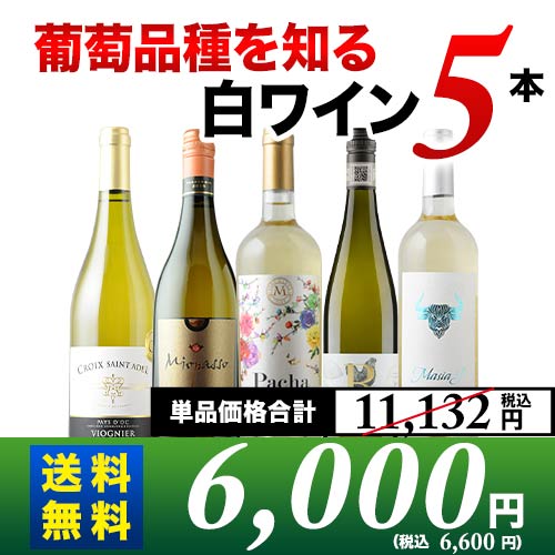 葡萄品種を知る白ワイン5本セット 送料無料 白ワインセット「10/31更新」