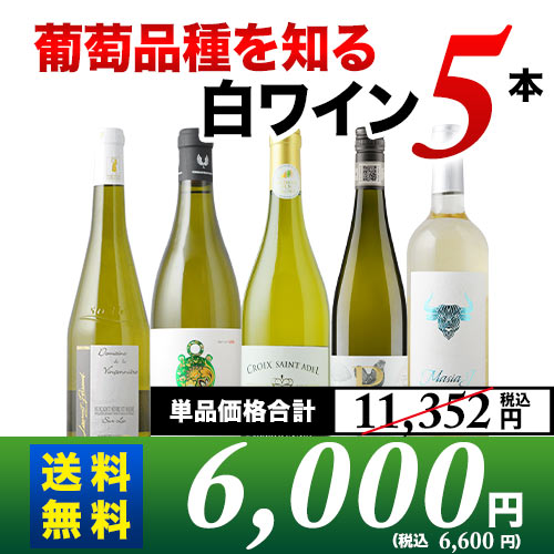 葡萄品種を知る白ワイン5本セット 送料無料 白ワインセット「2/7更新」
