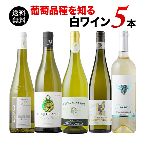 葡萄品種を知る白ワイン5本セット 送料無料 白ワインセット「2/7更新