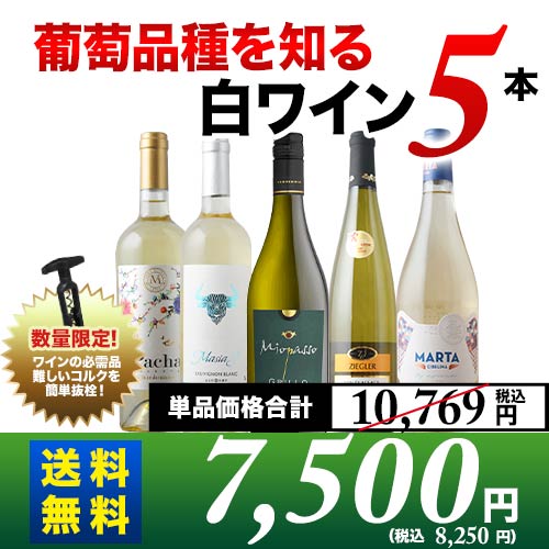 葡萄品種を知る白ワイン5本セット 送料無料 白ワインセット「5/16更新」