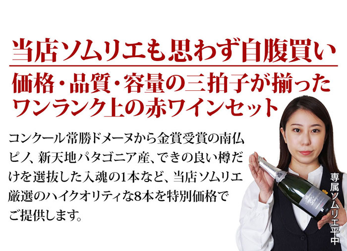 当店ソムリエが選んだ「ちょっといいワイン」赤ワイン8本セット 送料無料 ワインセット「10/23更新」