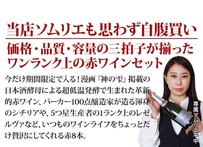当店ソムリエが選んだ「ちょっといいワイン」赤ワイン8本セット 送料無料 ワインセット「9/17更新」