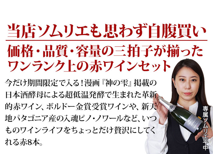 当店ソムリエが選んだ「ちょっといいワイン」赤ワイン8本セット 送料無料 ワインセット「2/4更新」
