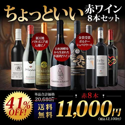 当店ソムリエが選んだ「ちょっといいワイン」赤ワイン8本セット 送料