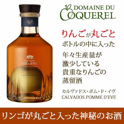 「SALE」カルヴァドス・ポム・ド・イブ ドメーヌ・ド・コックレル フランス ノルマンディー ブランデー 700ml