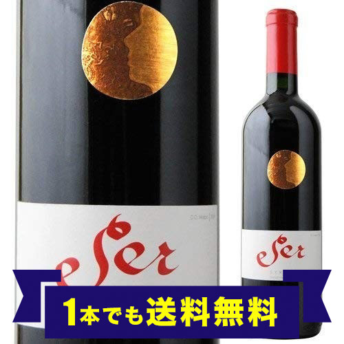 「1本でも送料無料」セール・シラー ヴィニャ・マーティ 2014年 チリ マイポ・ヴァレー 赤ワイン 750ml