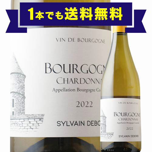 「1本でも送料無料」ブルゴーニュ・シャルドネ シルヴァン・デュボー 2022年 フランス ブルゴーニュ 白ワイン 辛口 750ml