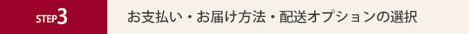 お支払・お届け方法・配送オプションの選択